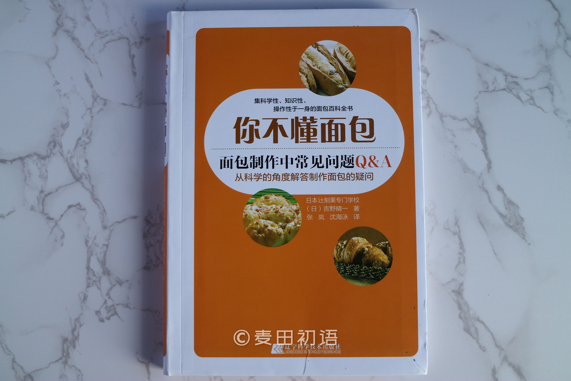 烘焙新手书,新手面包烘焙入门书