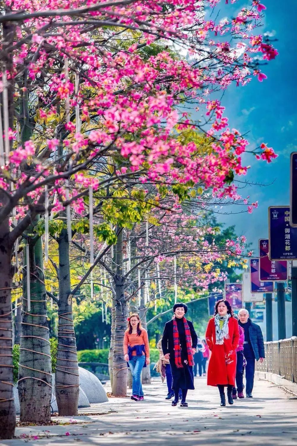 别在年轻的时候去四川！因为你的余生，都将沉醉在她的魅力里