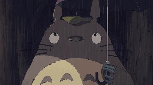 龙猫最久能活多久,龙猫30秒