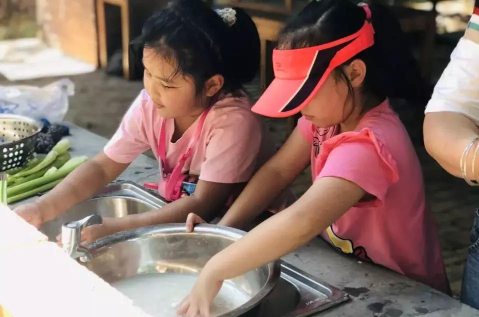 有机农场的盈利模式,生态农场亏损如何盈利