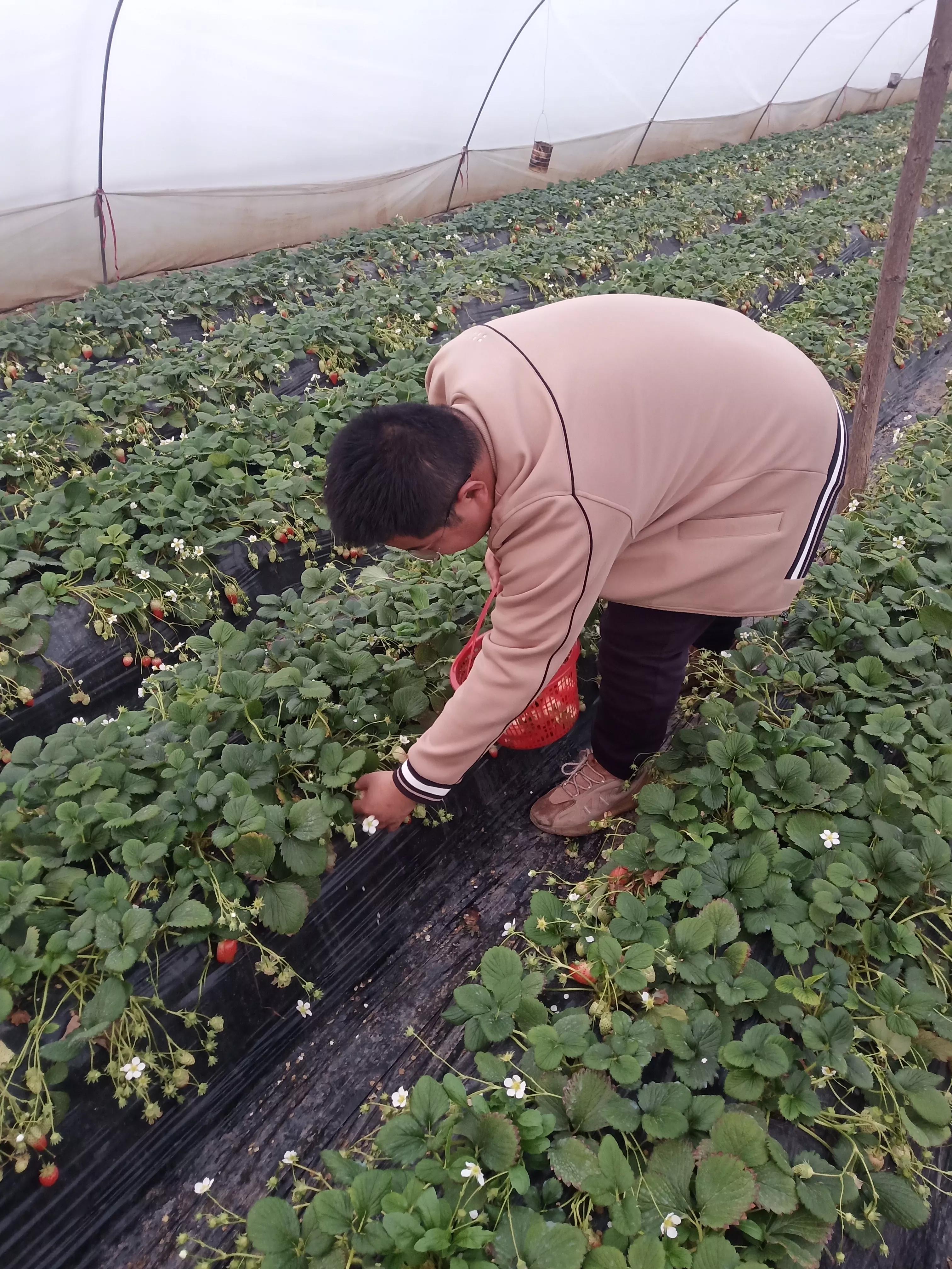 足球氛围好的城市西安,西安交大足球队什么水平