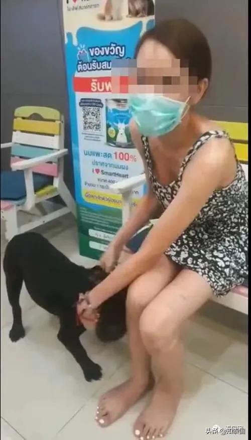 “变性人打狗”泰国热搜?比灾难更可怕的是灾难中现形的人心险恶