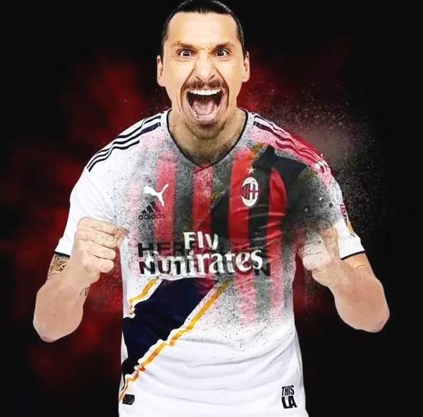 伊布高冷集锦,伊布内敛性格