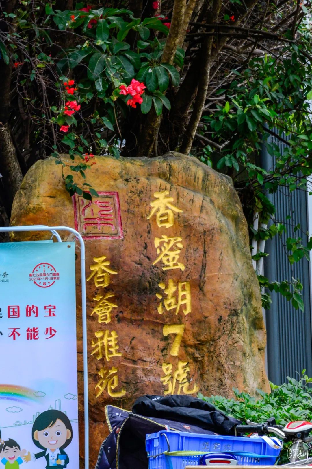 香蜜湖约会,香蜜湖真的要再见了吗