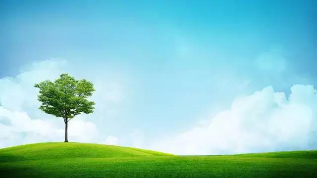 五脏的养生方法包括哪些方面,五脏健康保健秘诀