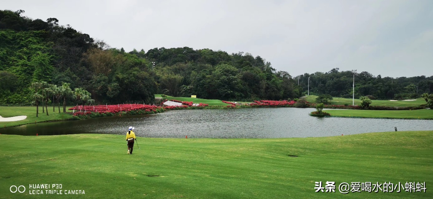 高尔夫球规则及玩法,4分钟了解高尔夫球怎么玩