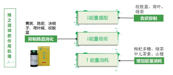 绿之源健康减肥,市面上有效的减肥胶囊有几款