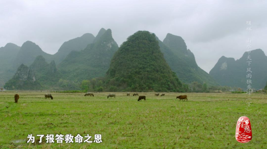桂林山水充满诗情画境,桂林看山水甲天下
