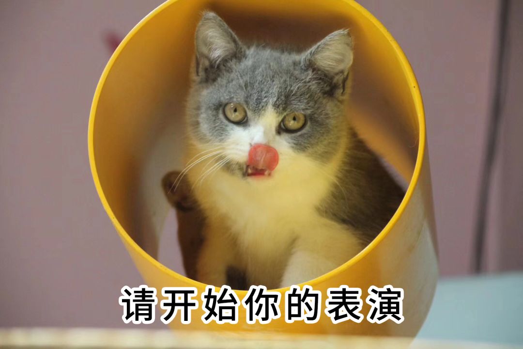 新手买基金怎么规避风险,怎么规避老鼠仓