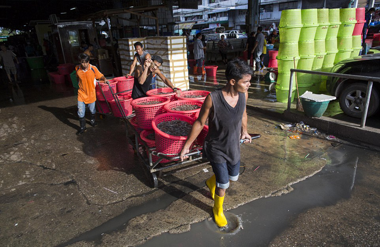 疫情后中泰合作,疫情冲击下国家的发展