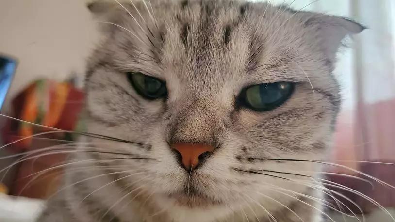 三星galaxynote20ultra5g测评,三星galaxys20+5g参数