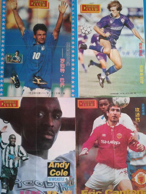 重庆崽儿与东北虎,重庆崽儿电视剧全集