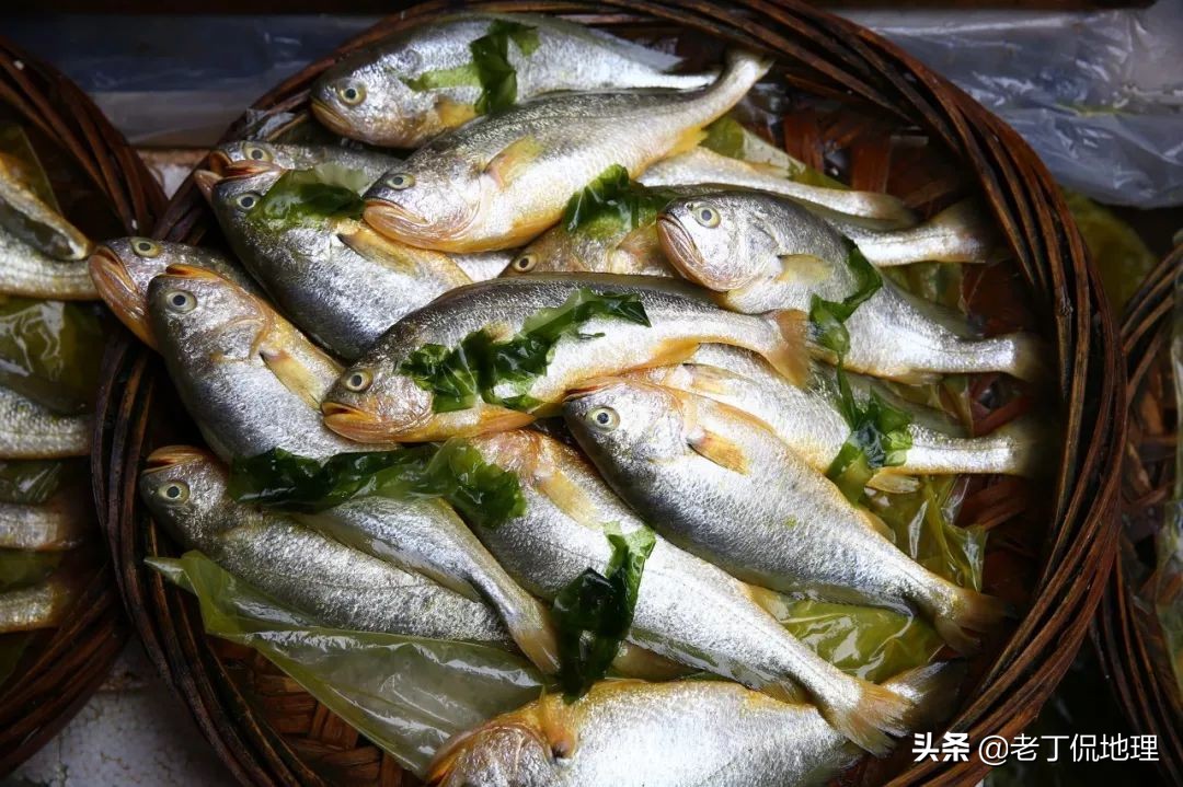 中国海鲜地图,中国海鲜最多地区