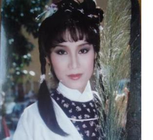 杨不悔扮演过什么角色,杨不悔年龄多大