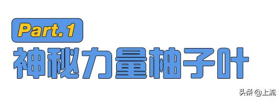 柚子叶洗澡有什么讲究,广州人为什么喜欢用柚子叶洗澡