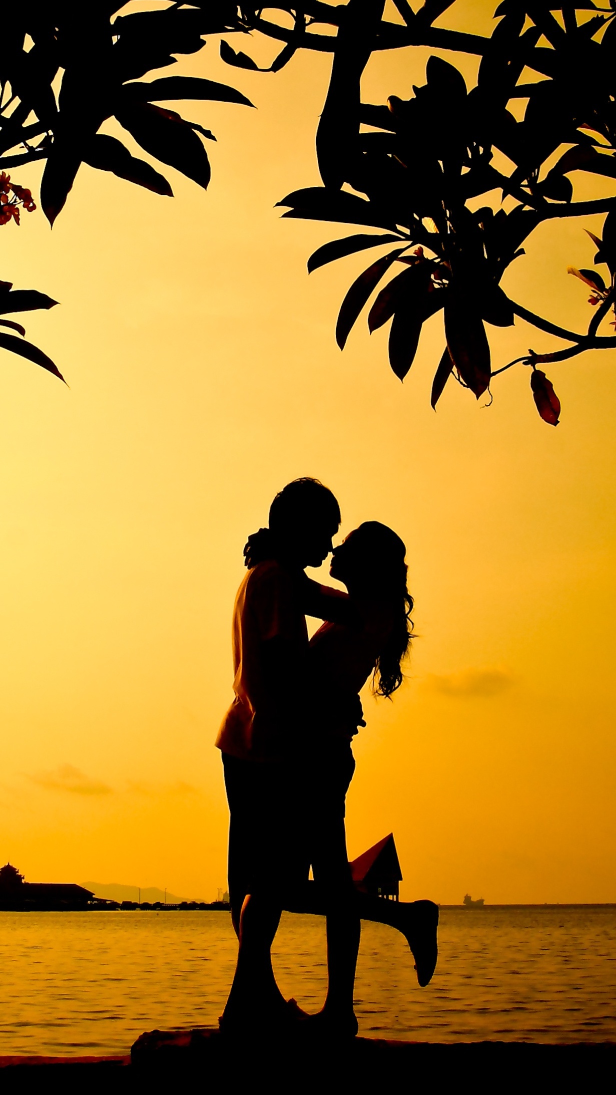 ios10.3.3越狱后如何下载应用,iphone如何用爱思助手越狱系统