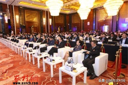 铜川市铝产业发展大会,铜川产业推介会