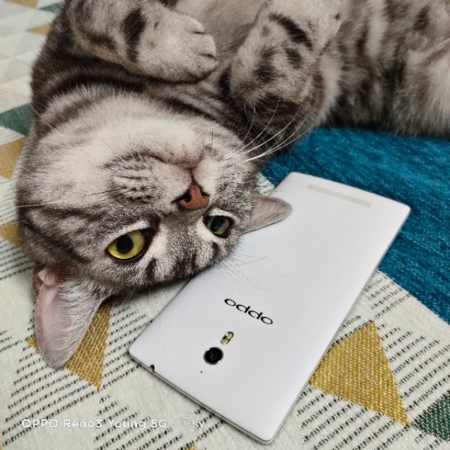 我的第一部手机来自哪里,oppofindx7系列新款旗舰