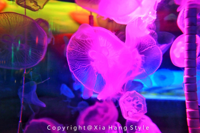 横店梦幻谷水世界有奥特曼,横店梦幻谷水世界摩天轮