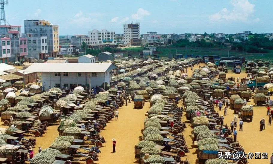 湛江菠萝海在哪个地方,湛江的菠萝海在哪里