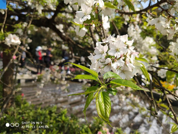 现在新出来的小米手机有啥,小米10s是中端机还是旗舰机