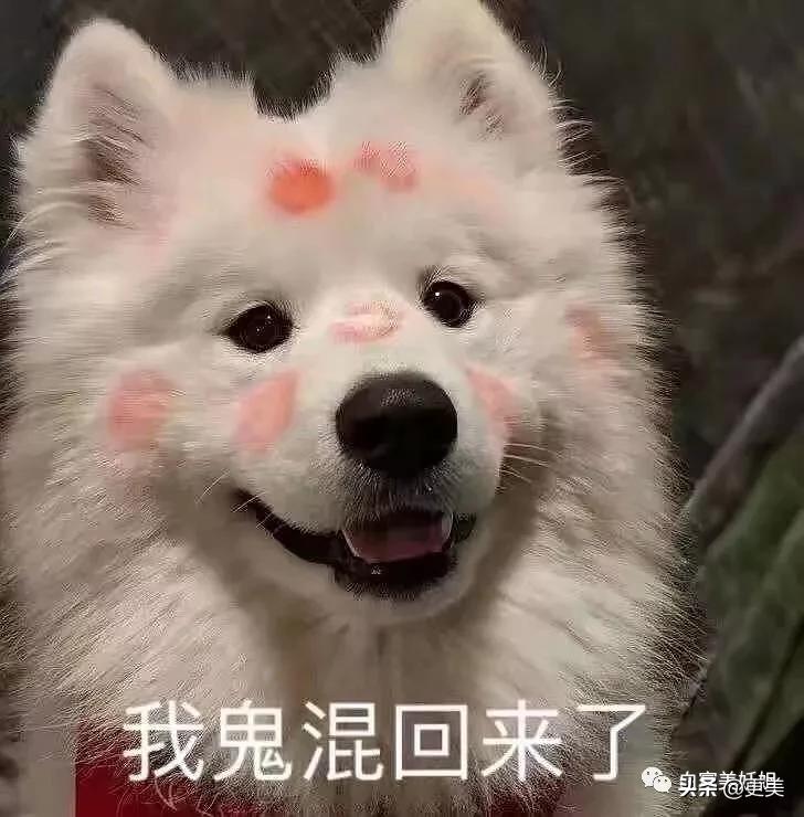 上海滩第一软饭王,上海滩第一富二代