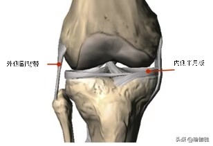 伟大的肌肉,用瑜伽带训练梨状肌