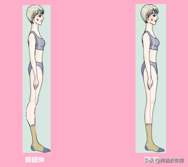 6个步骤，肌肉腿变筷子腿，你必须知道