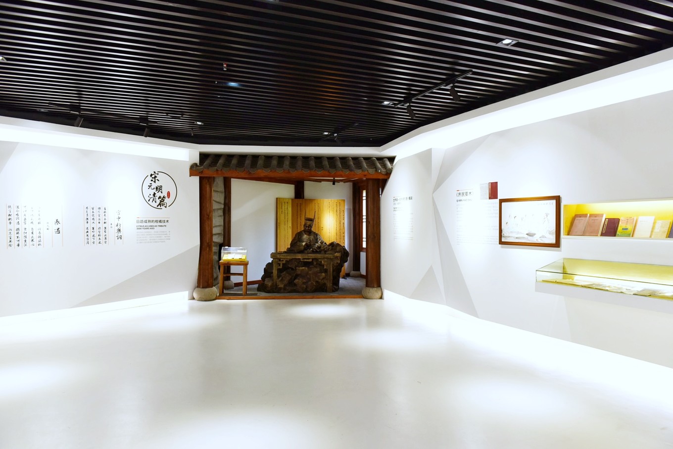 重庆市忠县柑橘园,柑橘之乡忠县