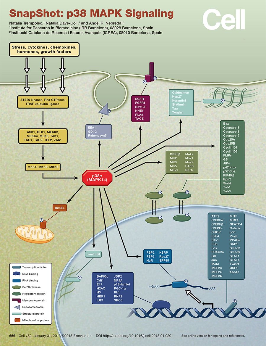 硬货的解析,硬货必买的10种