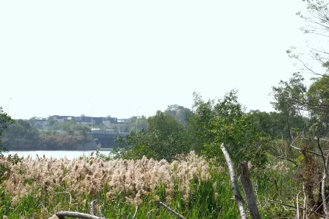 如今的世界之窗,介绍世界之窗