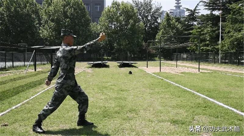 兵哥教你*首匕**格斗术（可用防身笔代替），招式简洁，刀刀击要害