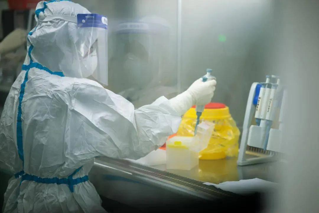 雷神等离子空气消毒机,雷神等离子净化