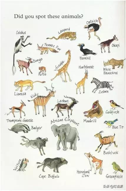 适合孩子读的哈利波特,哈利波特英语分级阅读书