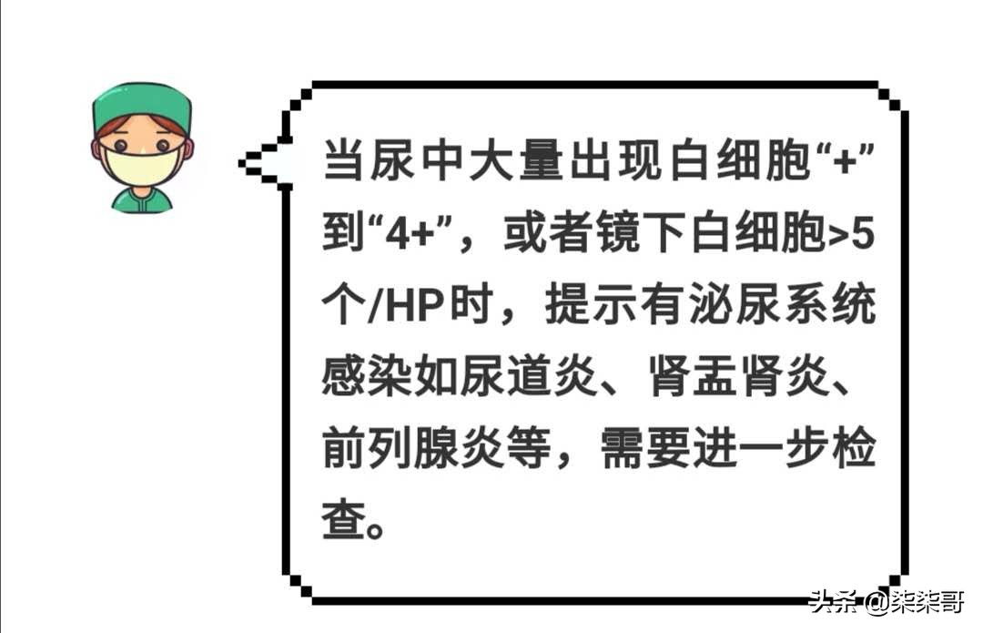 一分钟了解尿崩症,一分钟了解方舟子