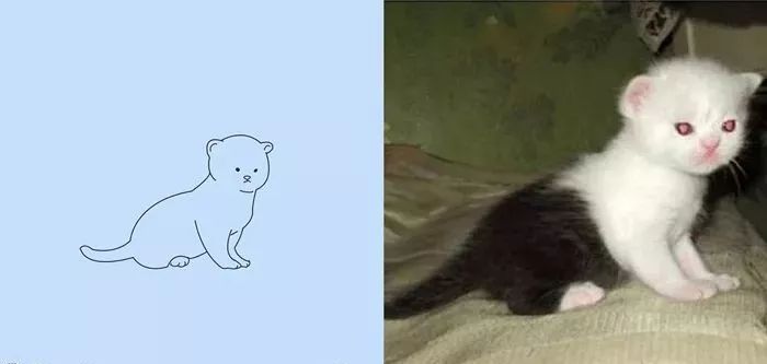 你和大触绘画的区别：一看就会一画就废，这波动物简笔画太形象了