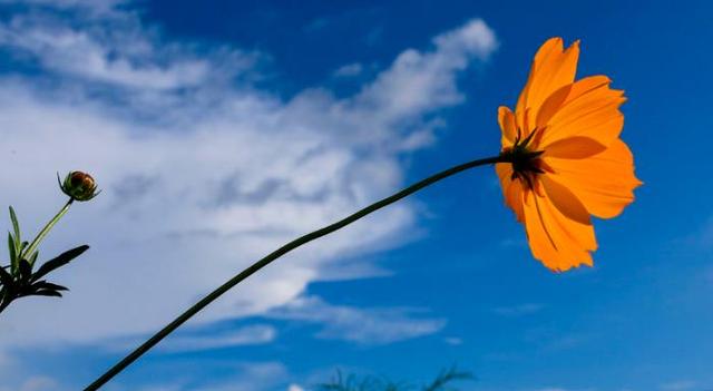 和小人纠缠,和小人一起纠缠你就输了