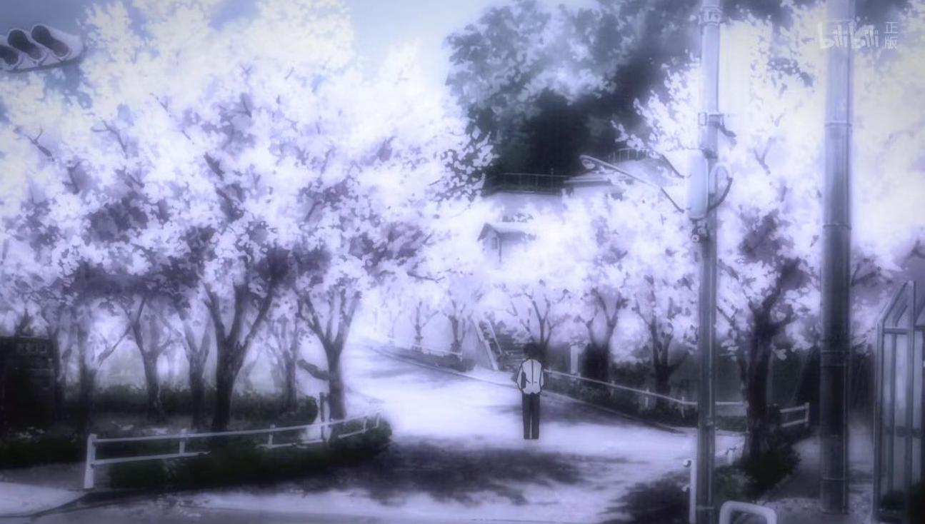 动漫中樱花的意义,日本动漫中樱花文化