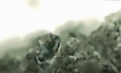 一口黄牙能洗白吗,一口黄牙毁了一张脸