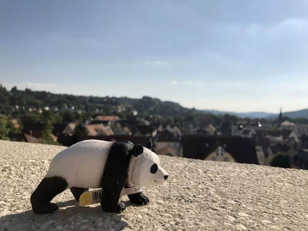 寰峰浗鎬濅箰鍎跨鐜╁叿,鎬濅箰鍝佺墝鐜╁叿