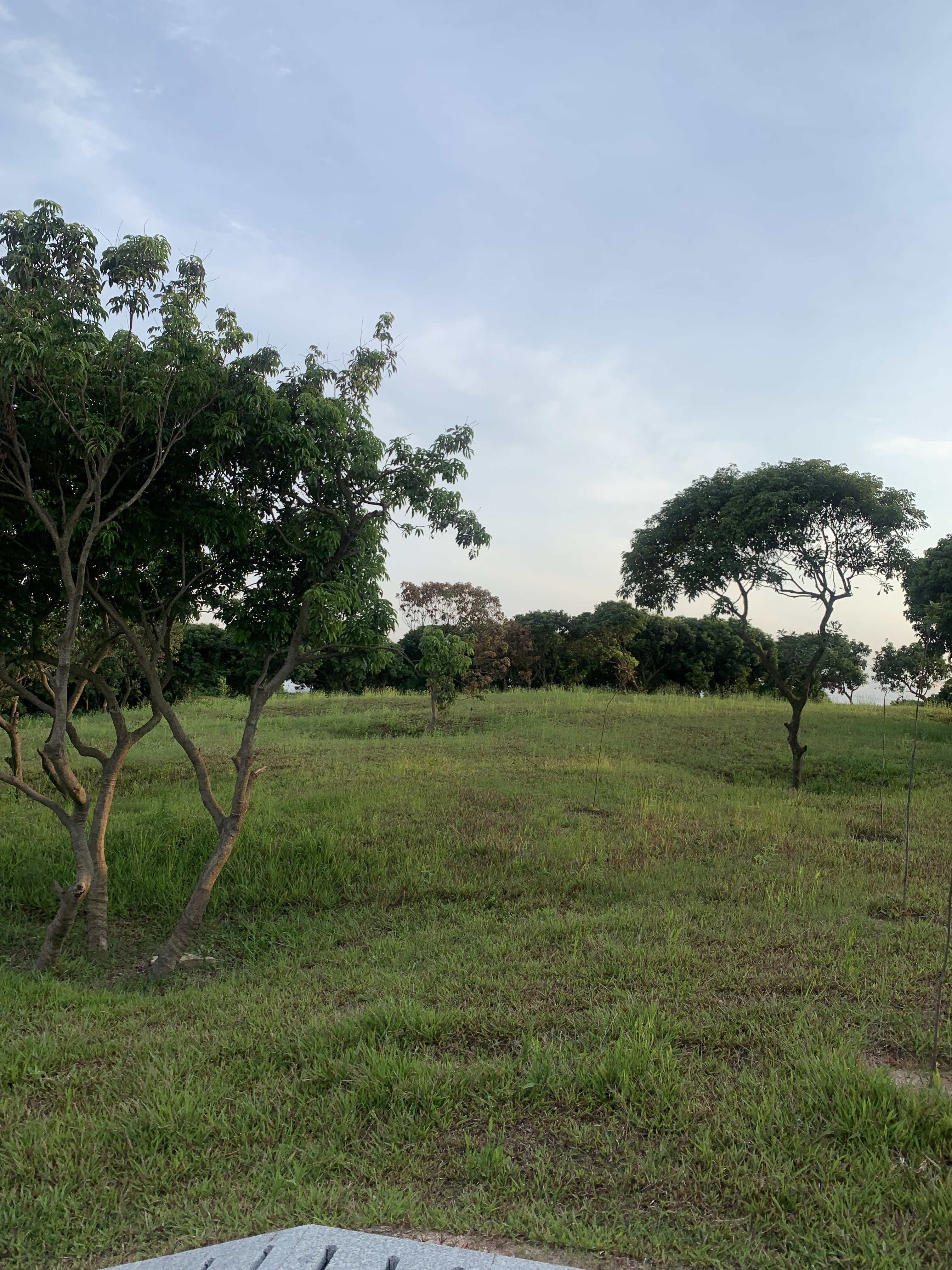 深圳宝安石岩八大必去免费景点,宝安区石岩镇有什么玩