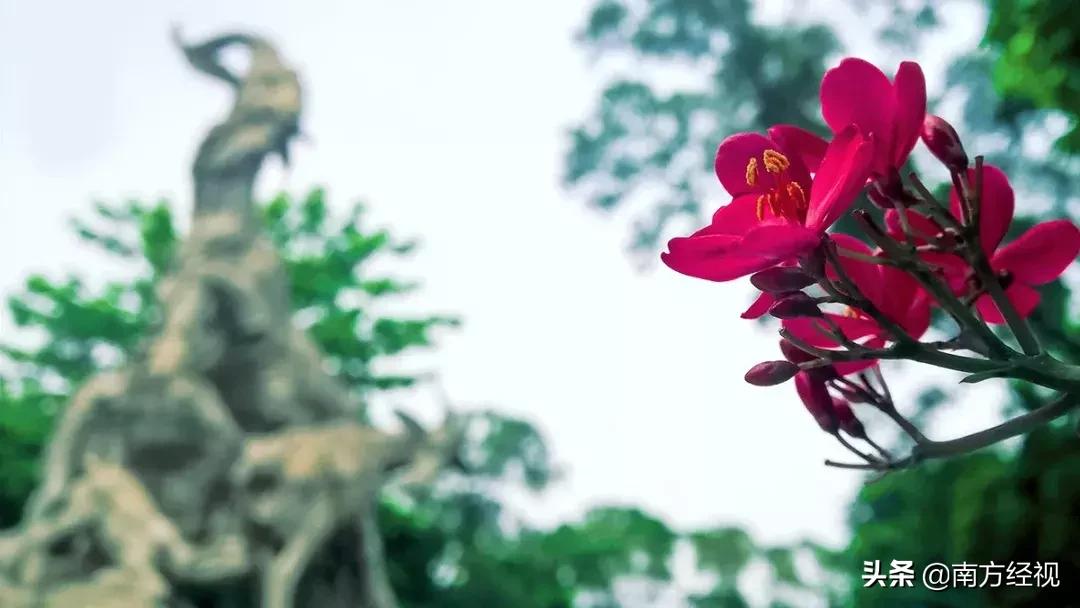 广州番禺丽江花园整体规划图,广州美林湖畔花园规划图