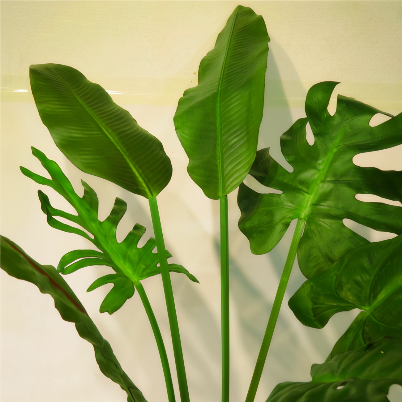 客厅电视柜适合养什么小盆栽植物,客厅电视柜上放什么植物比较好