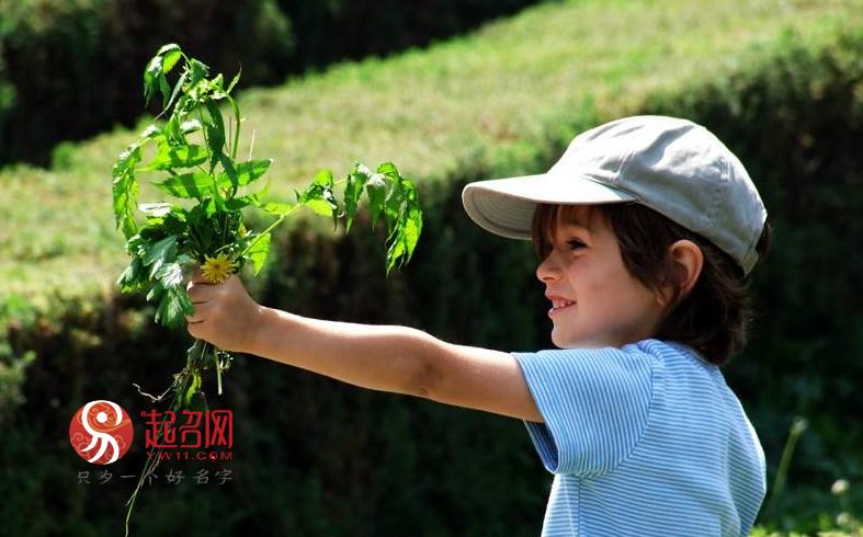 高姓男孩儒雅名字,儒雅古风男孩名字