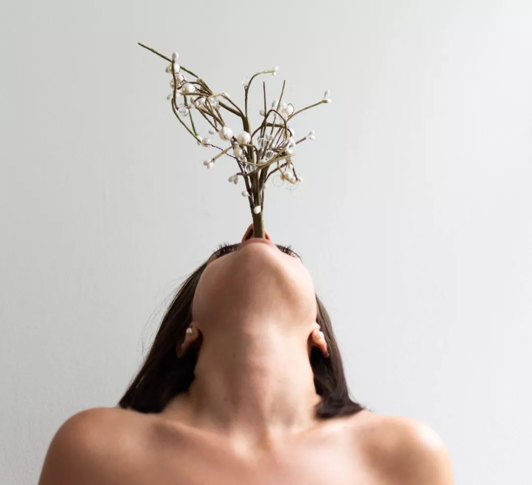 硅谷色情谷的良心，XHamster的内容审核竟然比Facebook强？