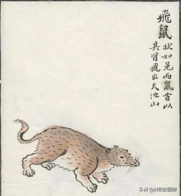 国学《山海经》北经——飞鼠