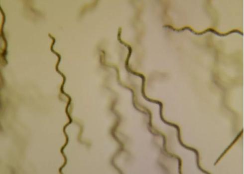 美丽云南第三季纪录片,美丽云南第二季合集