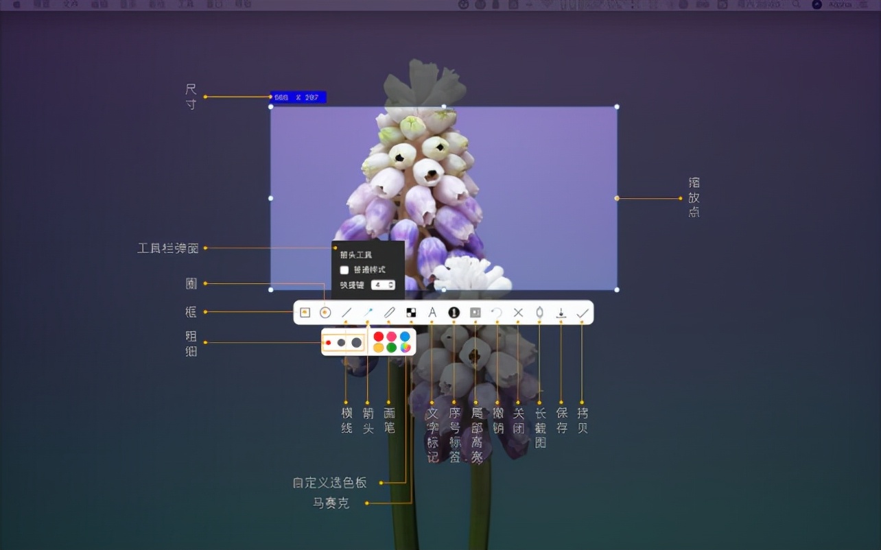 macbookpro十大必备软件,macbook建议下哪些软件