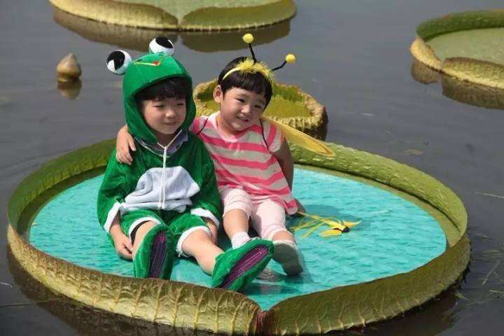 奇花异草大全罕见图文,极其罕见的奇花异草