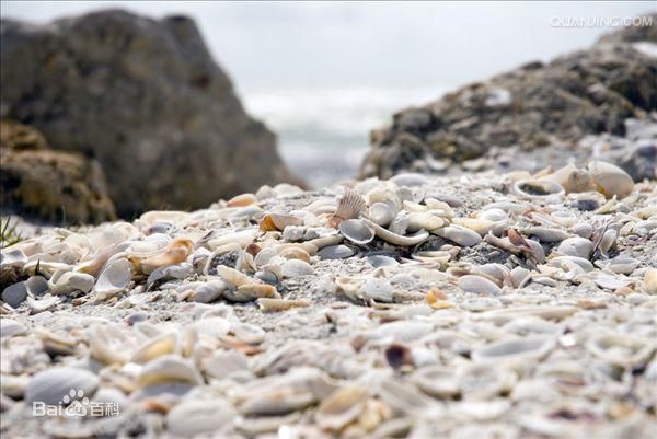 鲜为人知的美丽海滩,漫步迷人的海滩令人心旷神怡